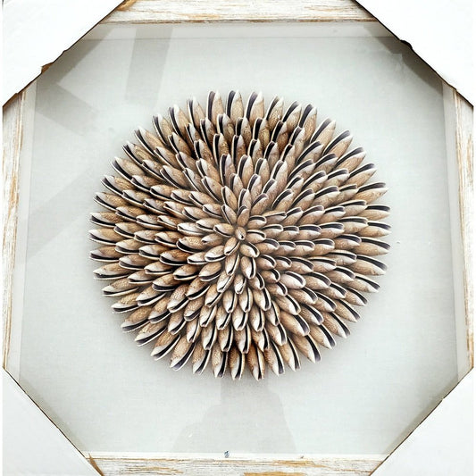 Cowry Shadow box Home decor